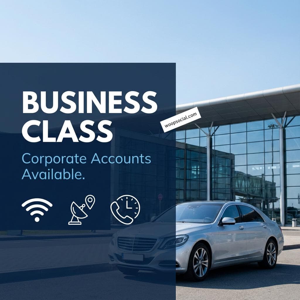 Sleek Business Executive Transfer