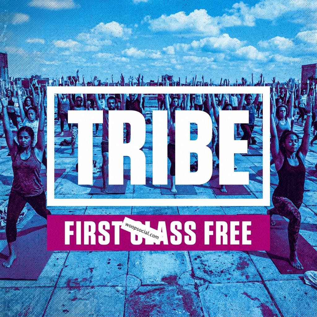 Vibrant Duo Tone Community